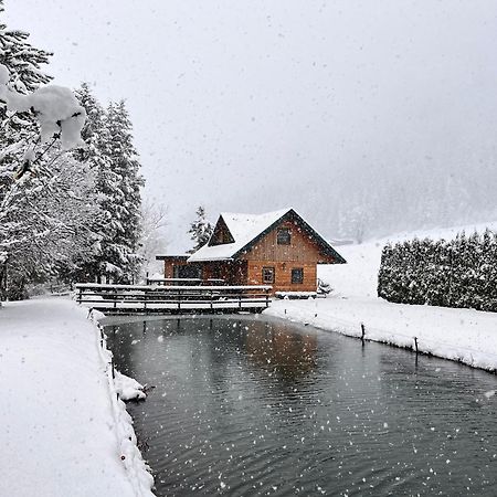 Chalet Am Teich Familie Gaenser Villa Feistritz am Kammersberg Esterno foto