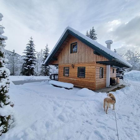 Chalet Am Teich Familie Gaenser Villa Feistritz am Kammersberg Esterno foto