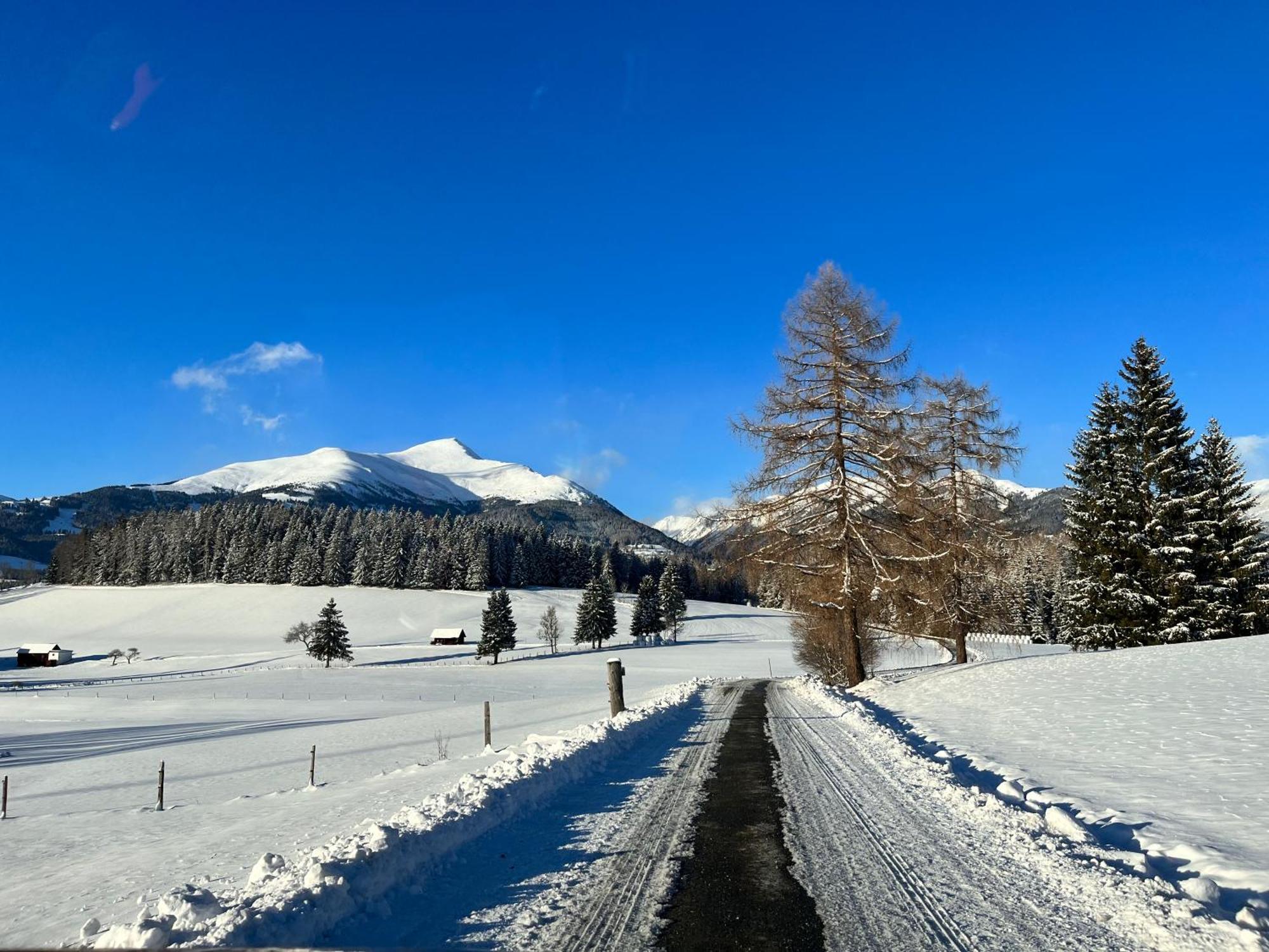 Chalet Am Teich Familie Gaenser Villa Feistritz am Kammersberg Esterno foto