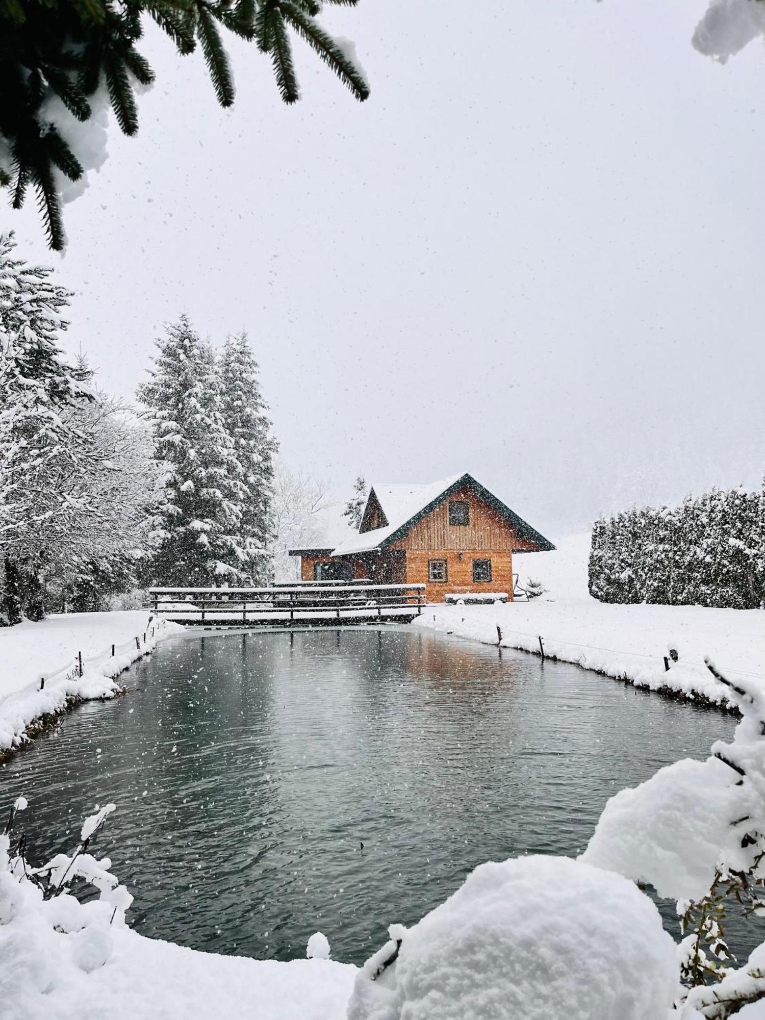 Chalet Am Teich Familie Gaenser Villa Feistritz am Kammersberg Esterno foto