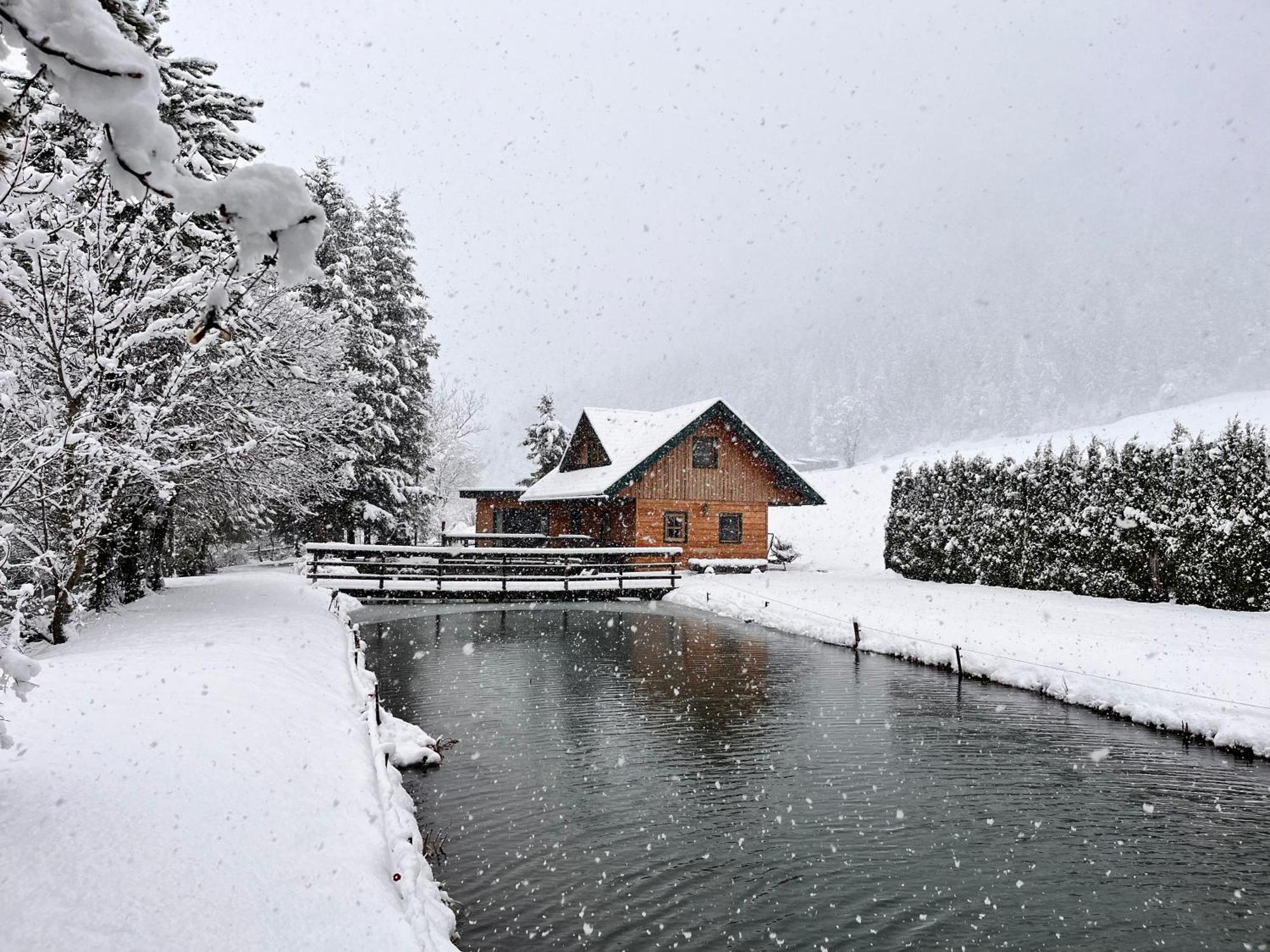 Chalet Am Teich Familie Gaenser Villa Feistritz am Kammersberg Esterno foto