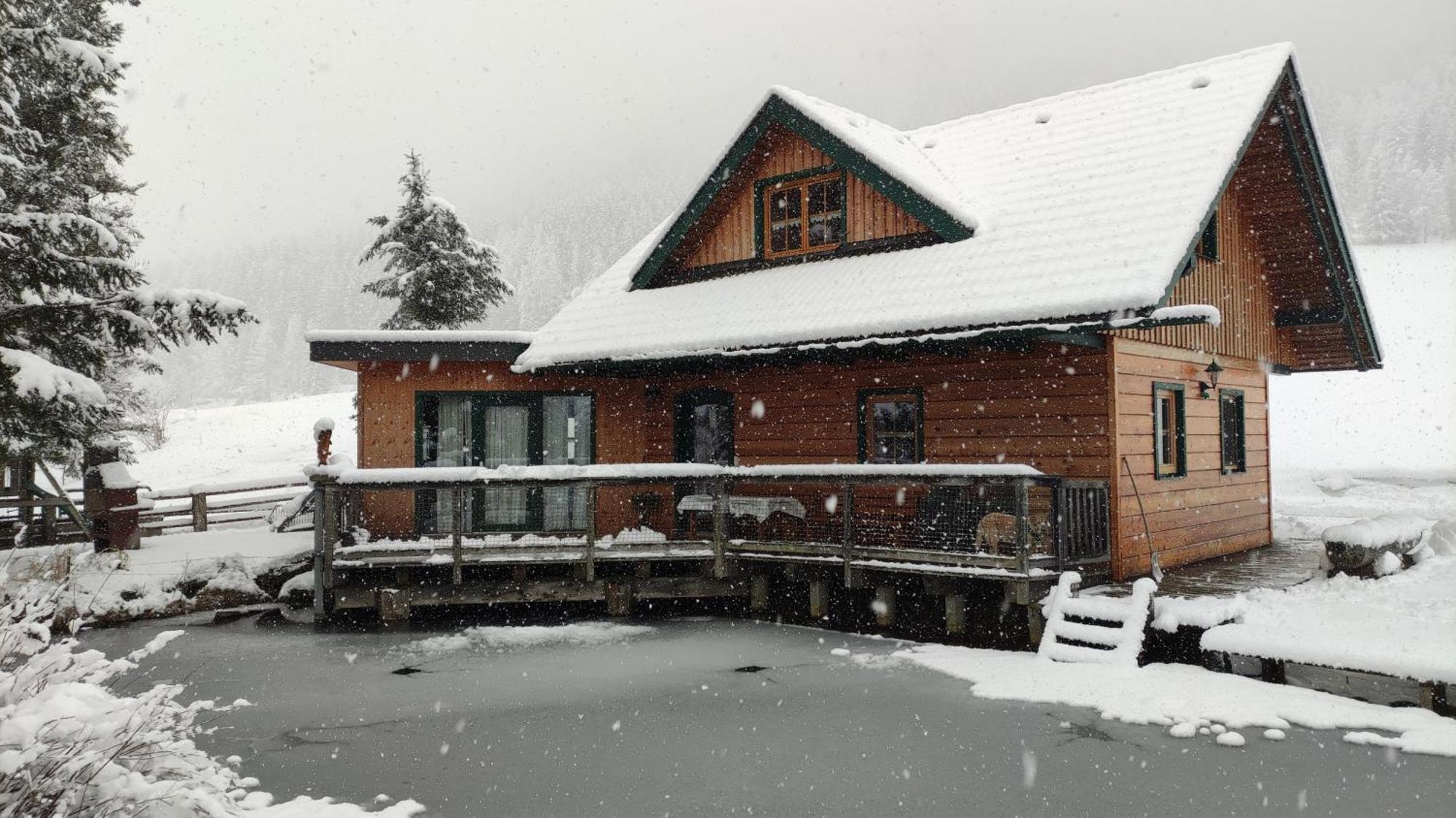 Chalet Am Teich Familie Gaenser Villa Feistritz am Kammersberg Esterno foto